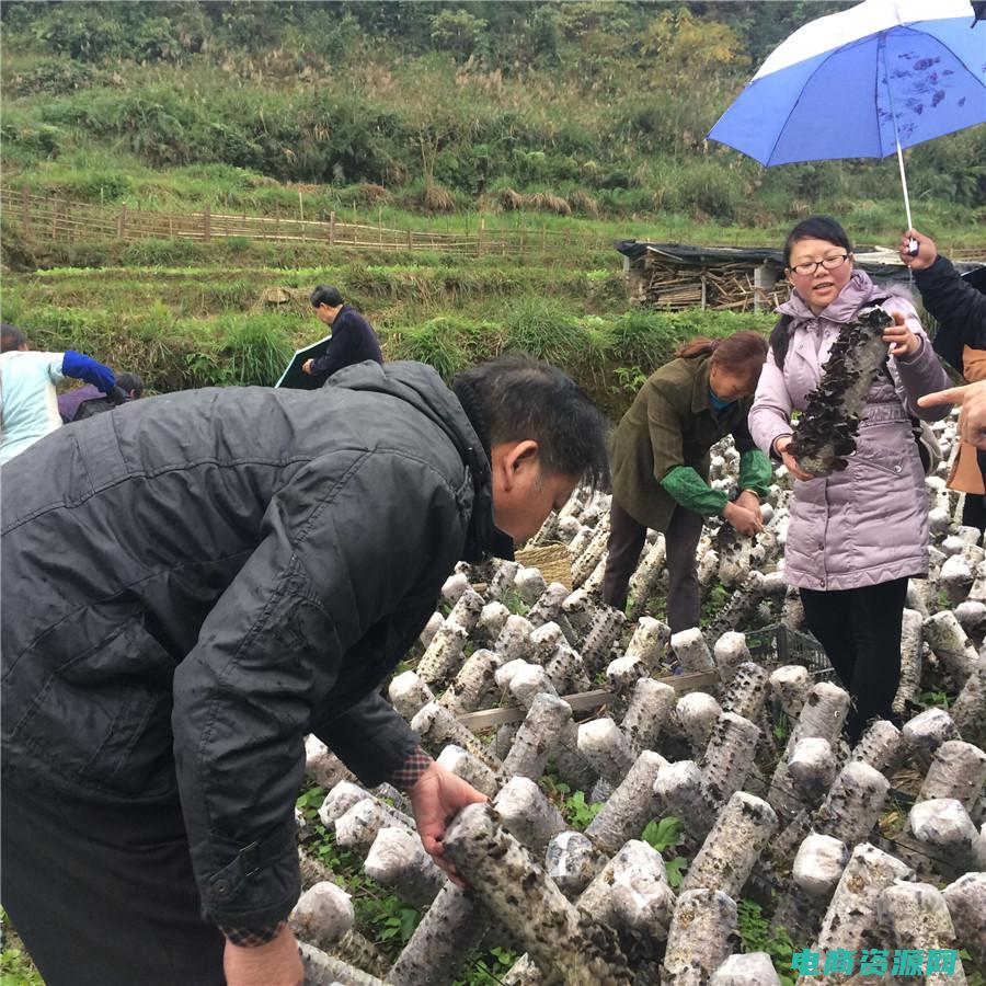 黑科技vx查询手机号码软件 (【黑科技】vancl优惠券，省钱购物的秘密武器)