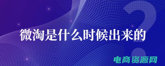 猛淘是什么性质的平台 (猛买网：极速发货，快人一步！)