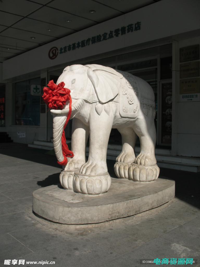 金象大药房各门店地址 (金象大药房：健康生活的首选)