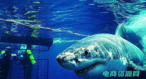 返利网怎么样可靠吗 (返利网：轻松享受购物的独特乐趣！)