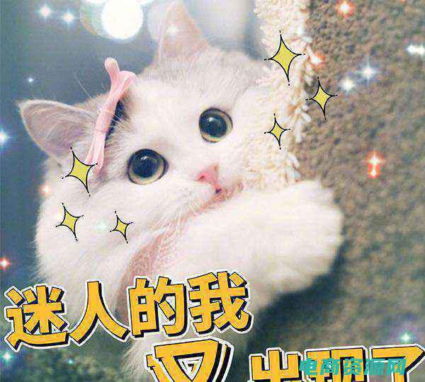 嘀嗒猫的智商有多高 (嘀嗒猫的智商和学习能力)