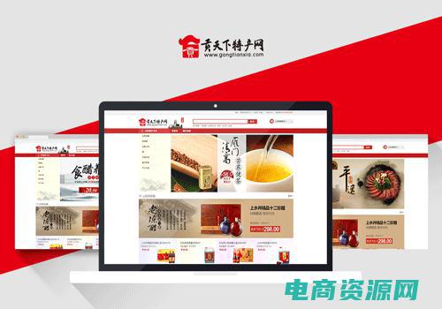 贡天下特产网官网加盟 (贡天下特产网：发现传统与创新的美食交融之美)