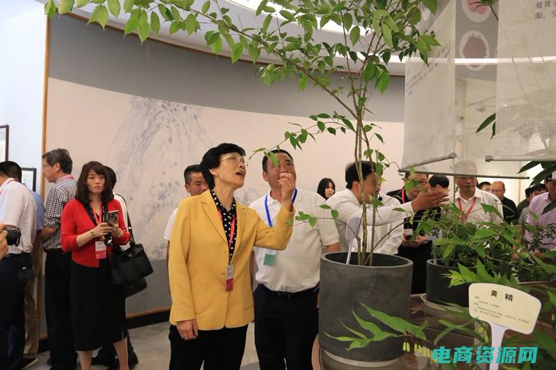 金象网上药店可信吗 (金象网上药店：定期促销活动，让您享受更多优惠)