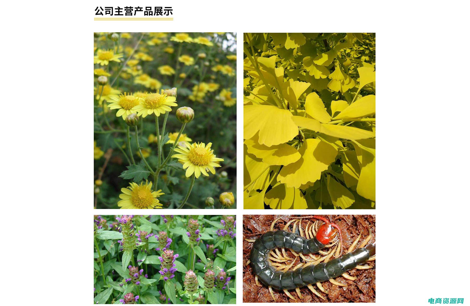金象网上药店可信吗 (金象网上药店：多种药物分类，帮助您快速找到所需的药品)