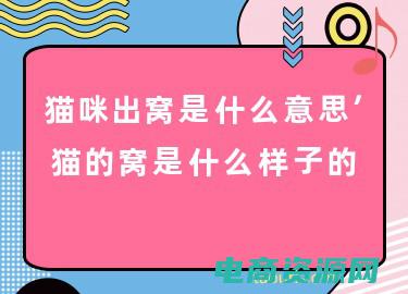 阿窝是什么意思 (阿窝团：领略未知的奇迹与美景)