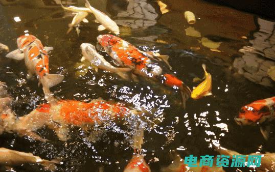 快来领取聚美金的说说 ( 快来领取聚美优品现金券吧！ )