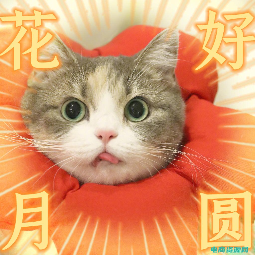 玩意生活店铺 (玩意生活网：发现中文编辑的神秘世界)