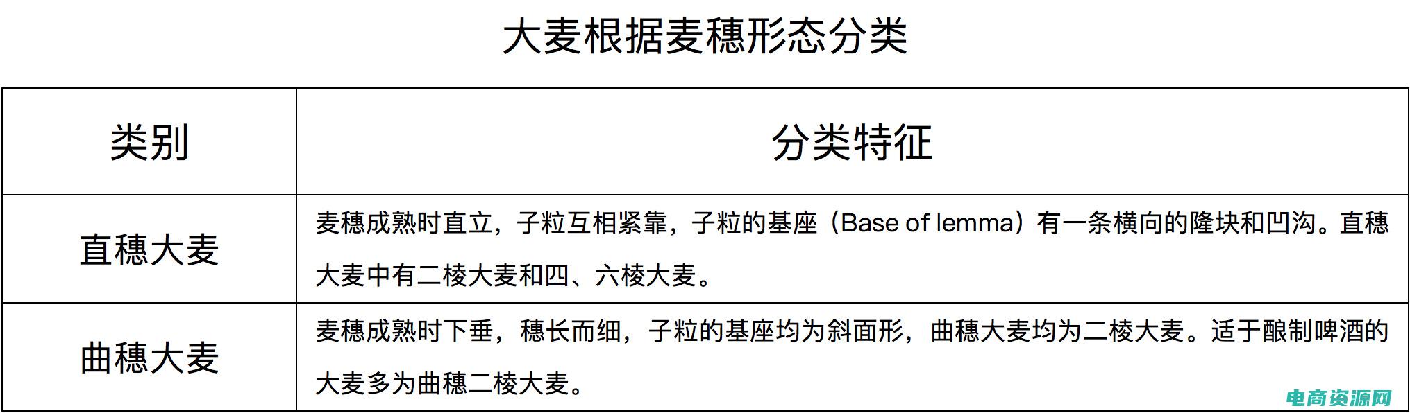 麦芽购物是真的吗 (解密麦芽购物背后的故事)