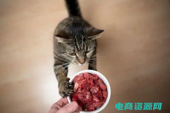 挑战宠物美食大赛