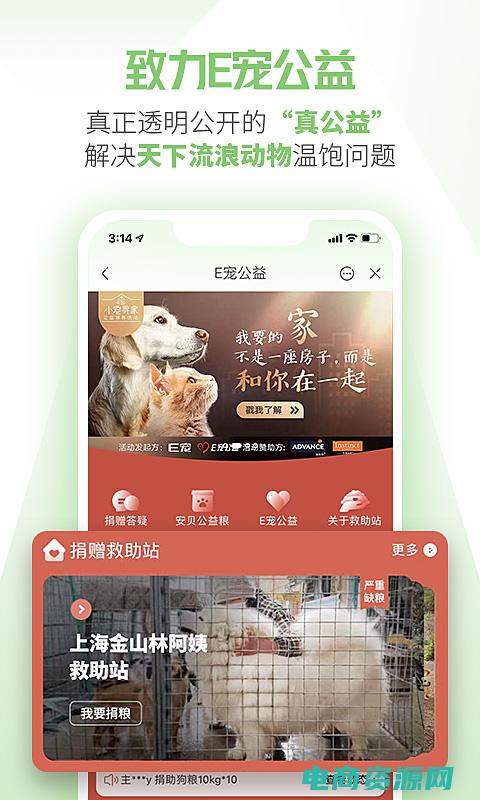 e宠商城官网app (e宠网为您推荐：最受欢迎的宠物品种大盘点)