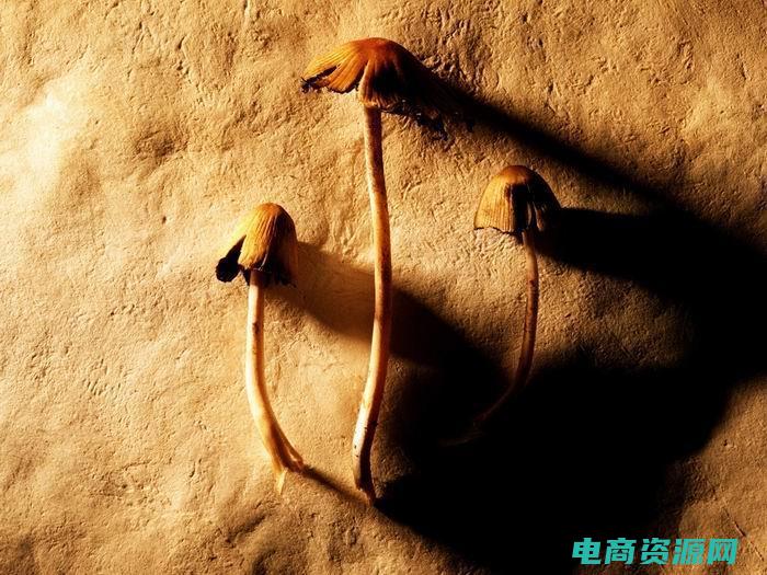 okbuy好乐买复活了吗 (OKBuy好乐买官网：让你的购物体验与众不同)