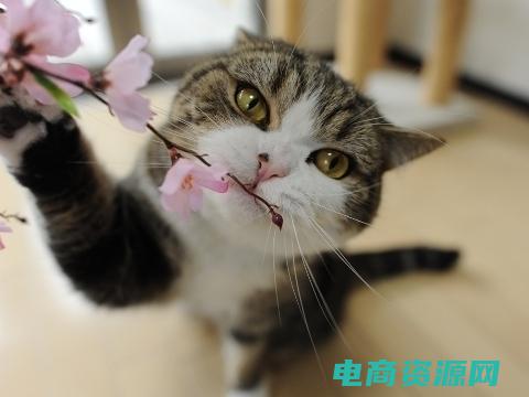 okbuy好乐买复活了吗 (OKBuy好乐买官网：提供多款精选商品，满足你的各种需求)