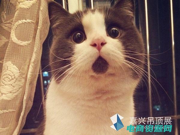 小惊喜叫什么 (惊喜不断！银泰百货线上购物平台为您带来无限惊喜)
