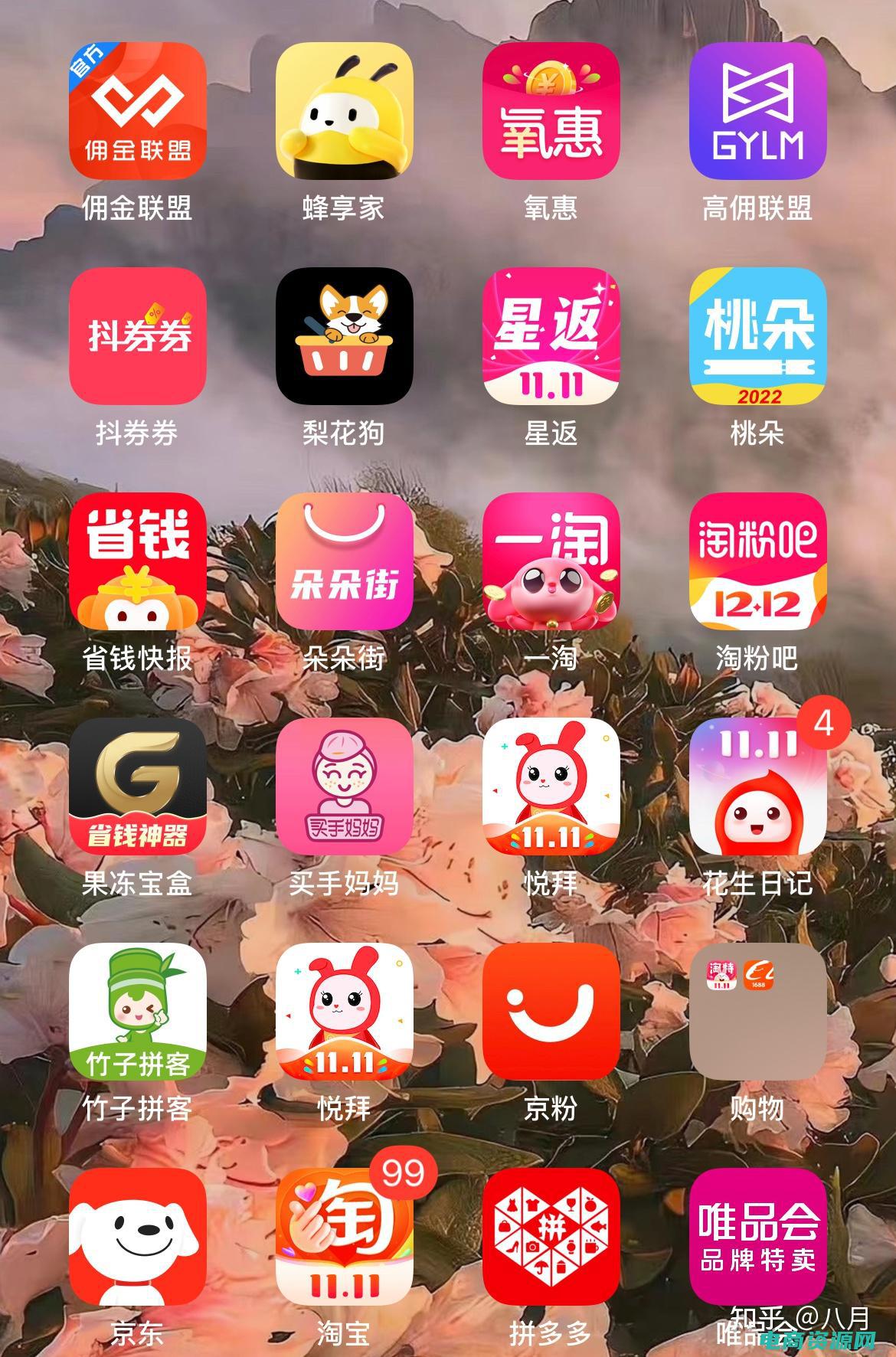 哪个返利网能提现 (哪个返利网能够让你受益最大化)