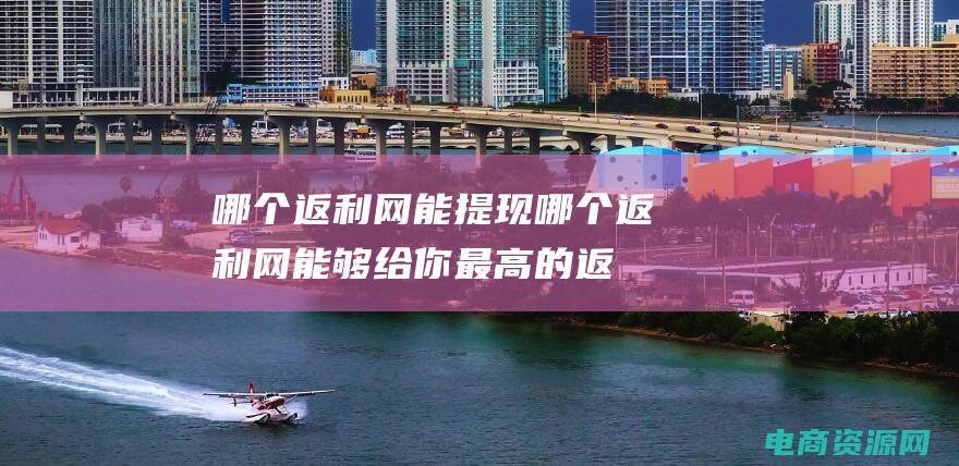 哪个返利网能提现 (哪个返利网能够给你最高的返利收益)