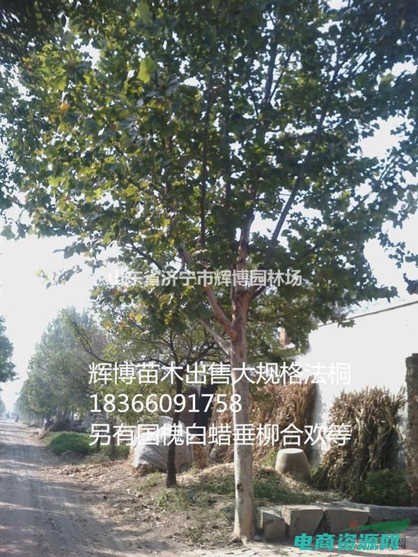 特卖价图片 (【特价热卖】米奇网优惠券特价商品，快来抢购吧！)