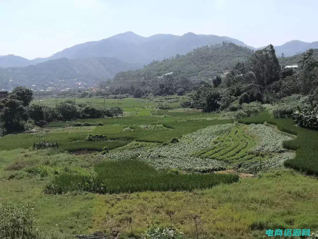 乐峰的东西是正品吗 (乐峰购物网：全新上线，给你不一样的购物体验)