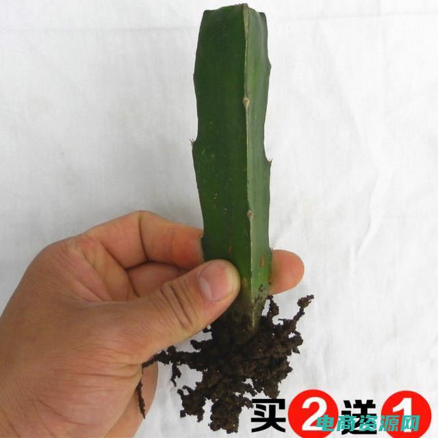 限量特惠是否违反广告法 (限量特惠：d1优尚网优惠券限时领取！)