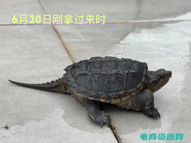 深入了解可得到什么 (深入了解可得网的品牌形象)