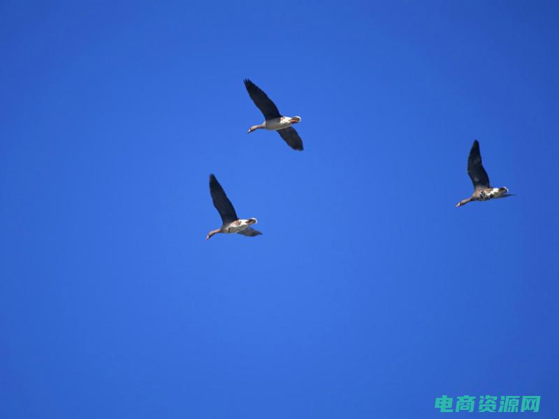 翱翔天空下一句 (翱翔天空：游易旅行网为您提供壮观的空中冒险体验)