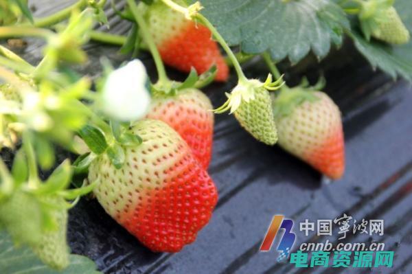 抢鲜网官网 (抢鲜网：为您带来最新最热的资讯！)