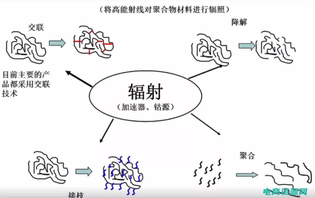 不容错过!辐射避难所最强布局图出炉 (不容错过！FClub推出的限时优惠让你省钱又省心！)