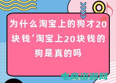 淘宝上的是真的吗 (网淘宝上的话费流量充值，方便又快捷！)
