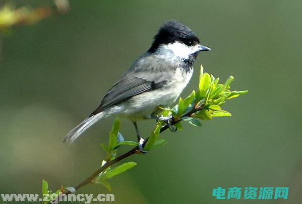 红子之家最新文章 (红子网站：造您和孩子同成长的乐空间)