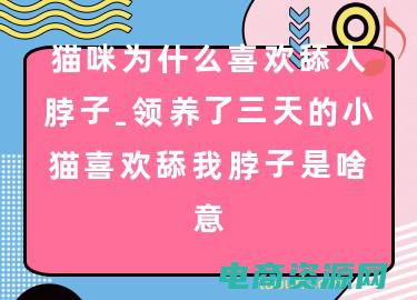 为网为海啥意思 (为为网：中文编辑揭秘行业内幕)