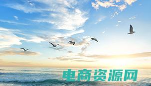 乐峰科技有限公司 (乐峰官网 - 了解乐峰在行业中的领先地位)
