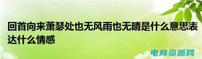 美晴是什么东西 (美晴网：提升你的中文编辑技能的最佳平台)