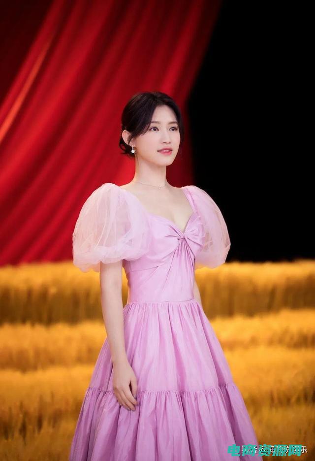 美晴是什么东西 (美晴网：为中文编辑者提供全方位支持)