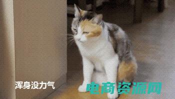 d1优尚网官网仓库 (d1优尚网：时尚生活的引领者)