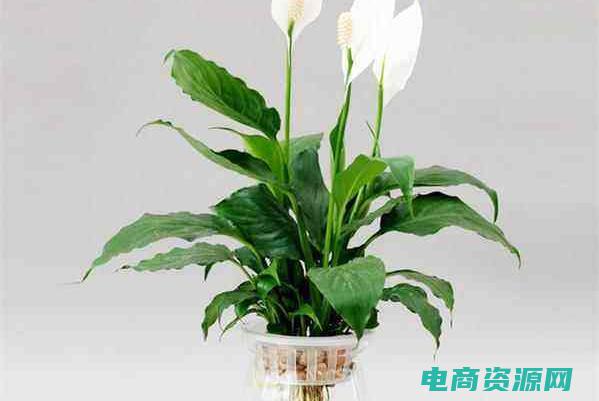 理财返利平台 (理财返利网：让你的钱为你工作！)