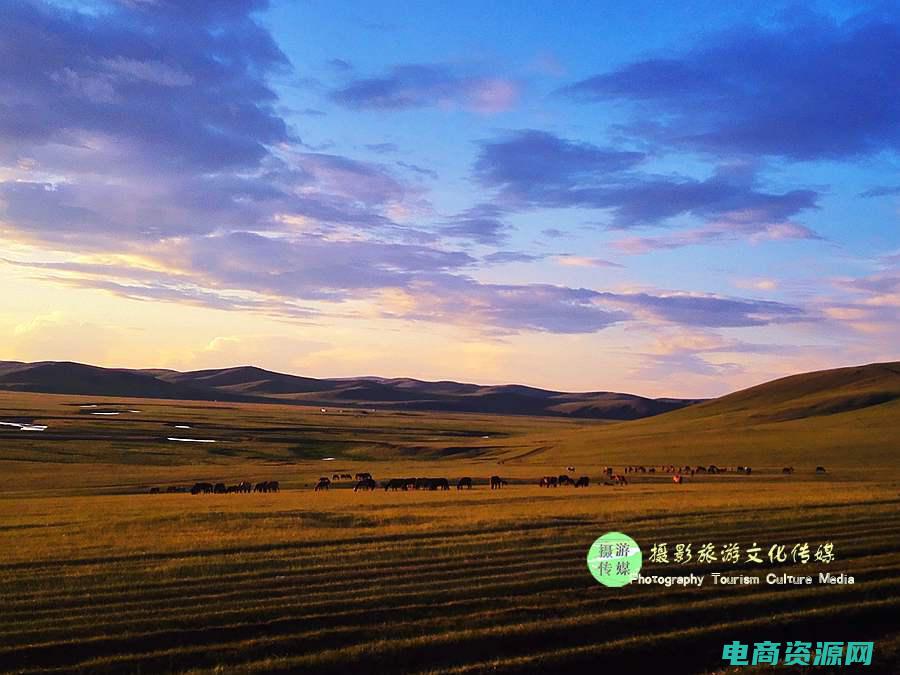 呼哈是啥意思 (呼哈网：挖掘中文编辑的无尽可能性)