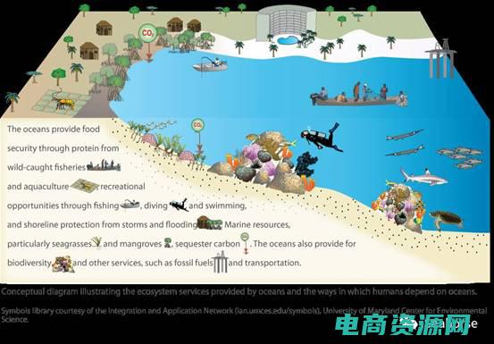 走进知识海洋钢笔字 (走进知识海洋：中国图书网带你驶向未知领域)