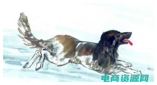 易惊喜是什么意思 (惊喜来袭！易迅优惠券免费领取)