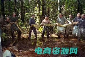 寻找绿森蚺 (探索绿森：发现大自然的美丽之处)
