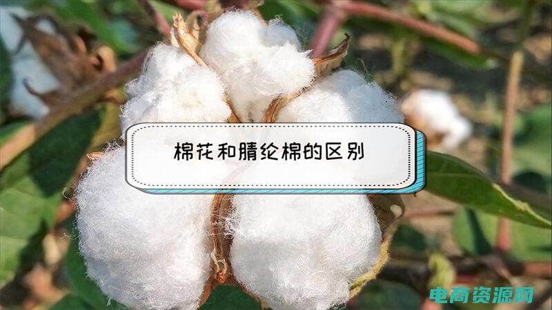 维棉和纯棉哪个好 (揭秘维棉的卓越质量)
